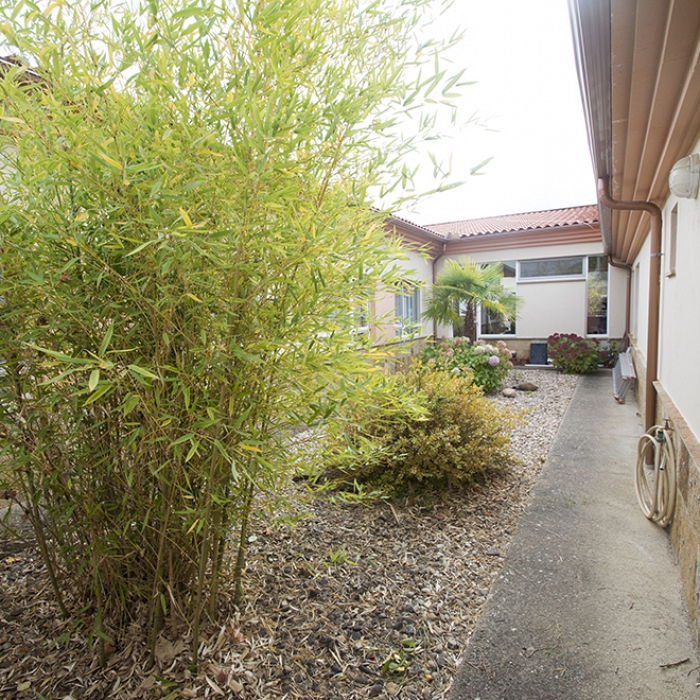 Jardines y zonas verdes