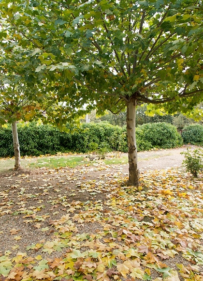 Residencia Tercera Edad