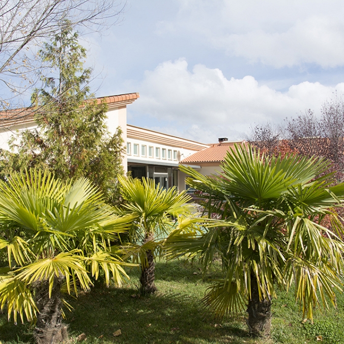 Jardines y zonas verdes