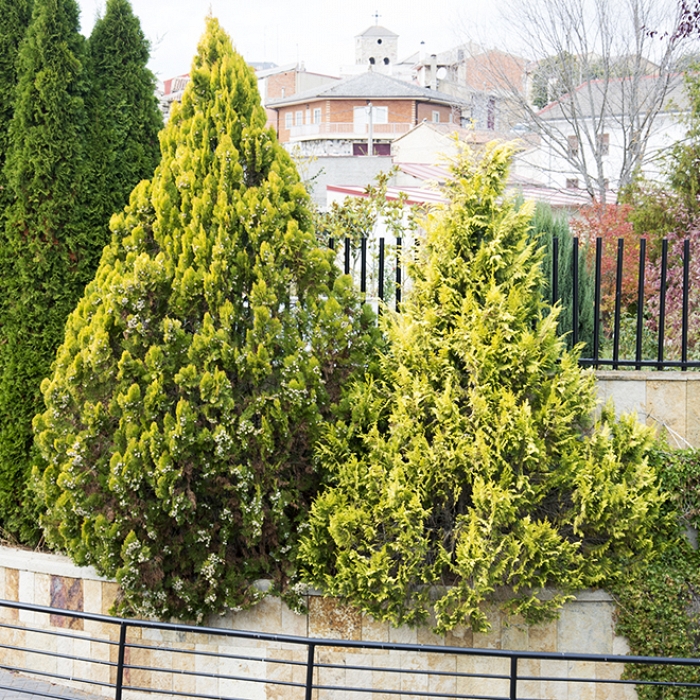 Jardines y zonas verdes