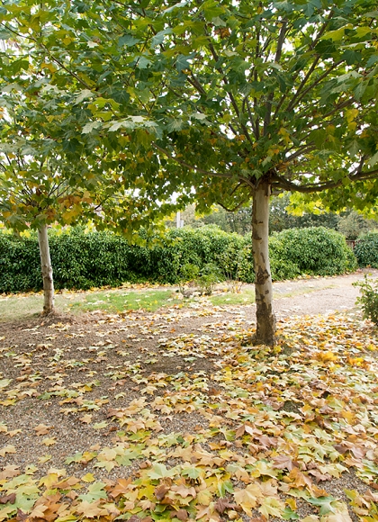 Residencia Tercera Edad_99