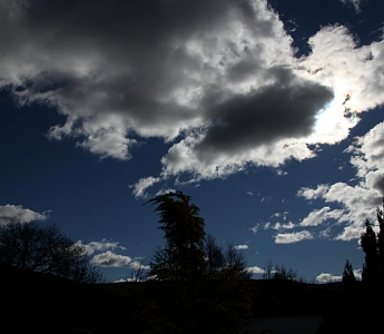 Desde la Residencia_77