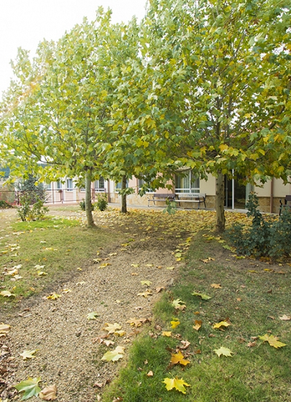 Residencia Tercera Edad