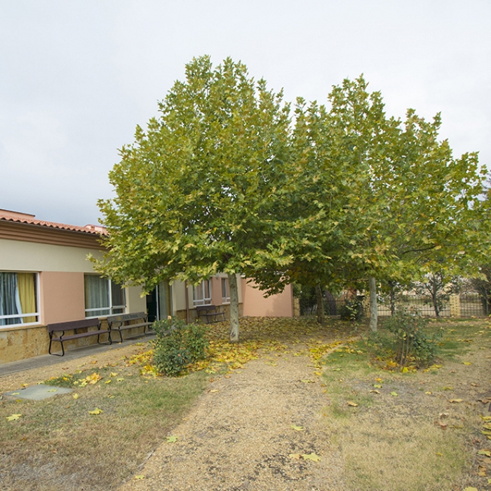 Jardines y zonas verdes